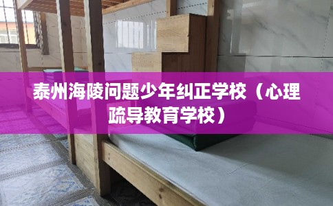 泰州海陵问题少年纠正学校（心理疏导教育学校）