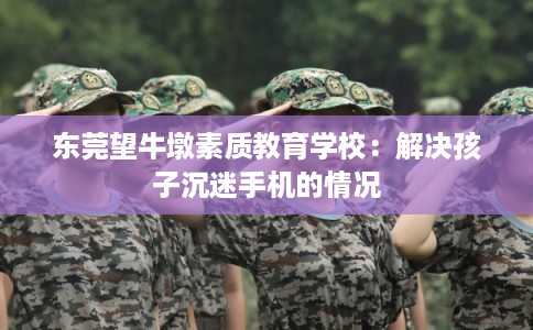 东莞望牛墩素质教育学校：解决孩子沉迷手机的情况