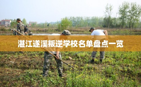 湛江遂溪叛逆学校名单盘点一览