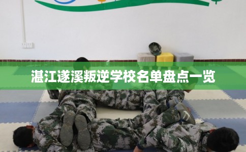 湛江遂溪叛逆学校名单盘点一览