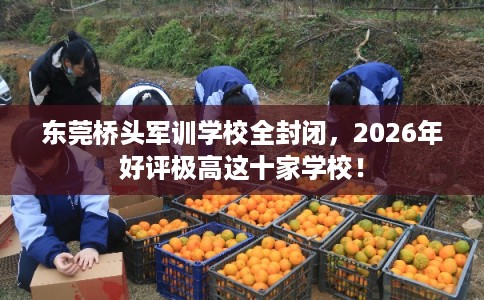 东莞桥头军训学校全封闭，2026年好评极高这十家学校！