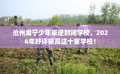 沧州肃宁少年叛逆封闭学校，2026年好评极高这十家学校！