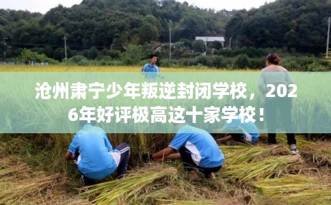 沧州肃宁少年叛逆封闭学校，2026年好评极高这十家学校！