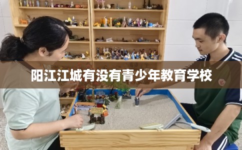 阳江江城有没有青少年教育学校