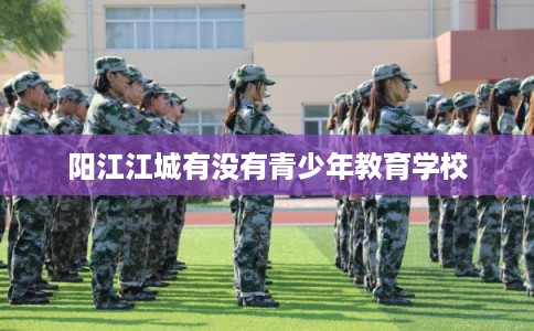 阳江江城有没有青少年教育学校