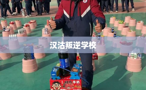 汉沽叛逆学校