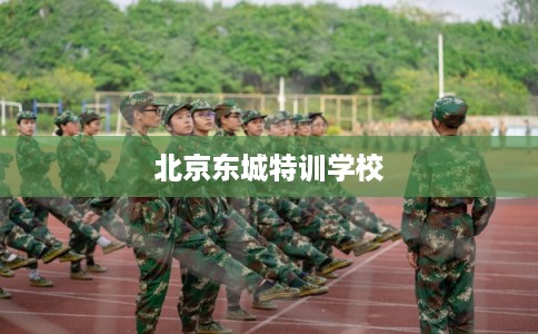 北京东城特训学校