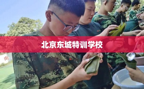 北京东城特训学校