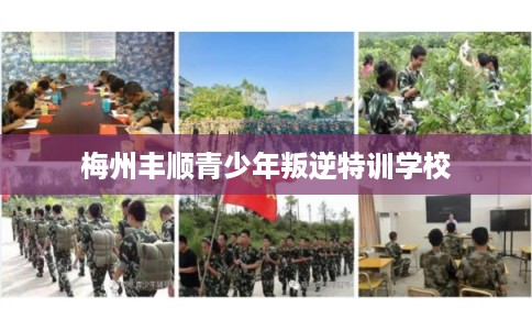 梅州丰顺青少年叛逆特训学校
