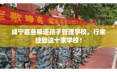 咸宁嘉鱼叛逆孩子管理学校，行家经验这十家学校！