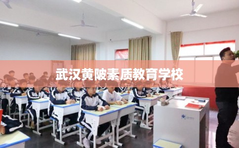 武汉黄陂素质教育学校