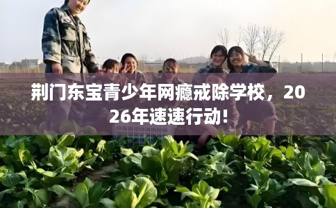 荆门东宝青少年网瘾戒除学校，2026年速速行动!