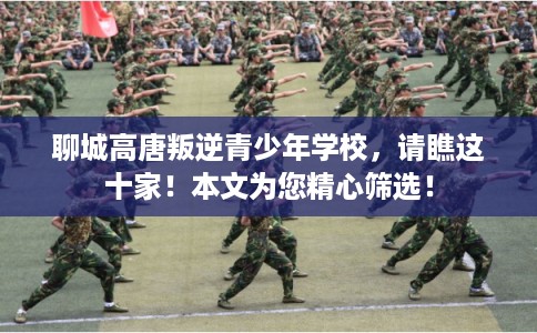 聊城高唐叛逆青少年学校，请瞧这十家！本文为您精心筛选！
