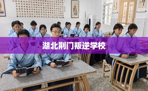 湖北荆门叛逆学校