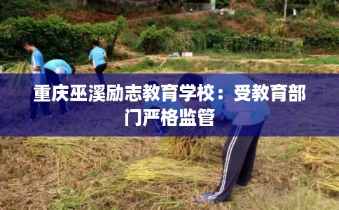 重庆巫溪励志教育学校：受教育部门严格监管