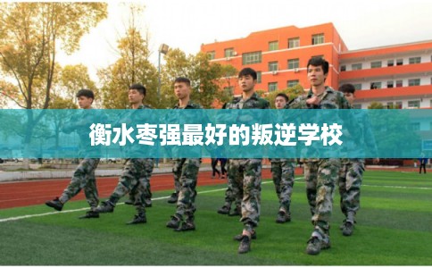 衡水枣强最好的叛逆学校