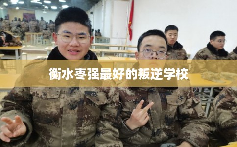 衡水枣强最好的叛逆学校