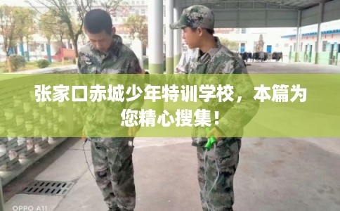 张家口赤城少年特训学校，本篇为您精心搜集！