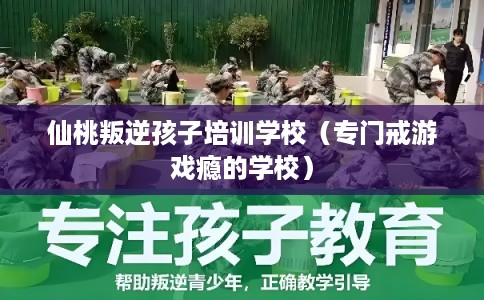 仙桃叛逆孩子培训学校（专门戒游戏瘾的学校）