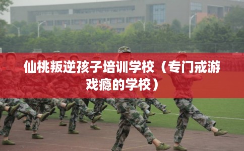 仙桃叛逆孩子培训学校（专门戒游戏瘾的学校）