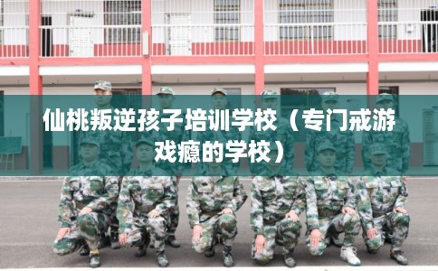 仙桃叛逆孩子培训学校（专门戒游戏瘾的学校）