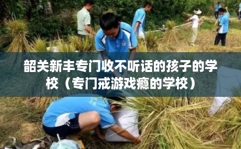 韶关新丰专门收不听话的孩子的学校（专门戒游戏瘾的学校）