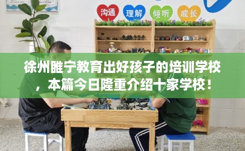 徐州睢宁教育出好孩子的培训学校，本篇今日隆重介绍十家学校！