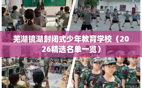 芜湖镜湖封闭式少年教育学校（2026精选名单一览）