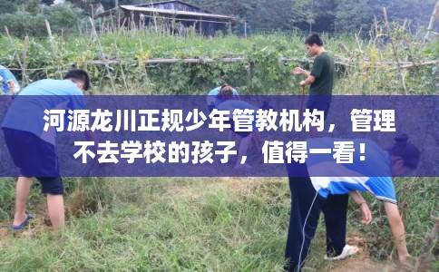 河源龙川正规少年管教机构，管理不去学校的孩子，值得一看！