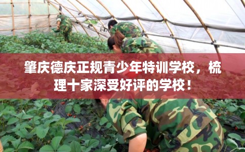 肇庆德庆正规青少年特训学校，梳理十家深受好评的学校！