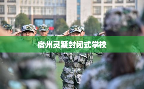 宿州灵璧封闭式学校