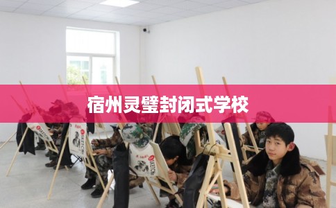 宿州灵璧封闭式学校