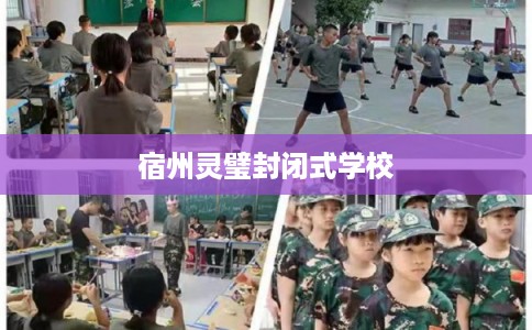 宿州灵璧封闭式学校