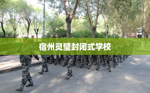 宿州灵璧封闭式学校
