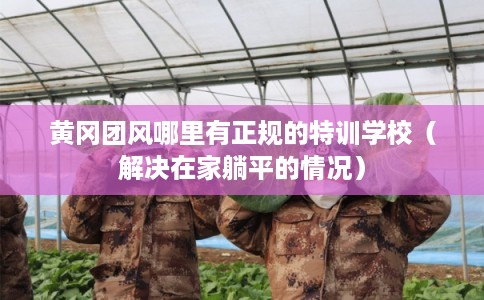 黄冈团风哪里有正规的特训学校（解决在家躺平的情况）