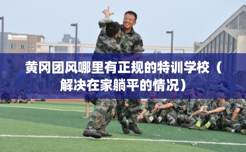 黄冈团风哪里有正规的特训学校（解决在家躺平的情况）