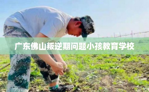 广东佛山叛逆期问题小孩教育学校