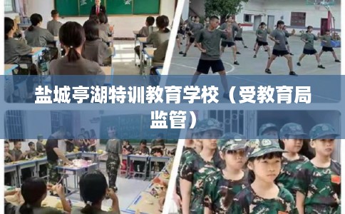 盐城亭湖特训教育学校（受教育局监管）