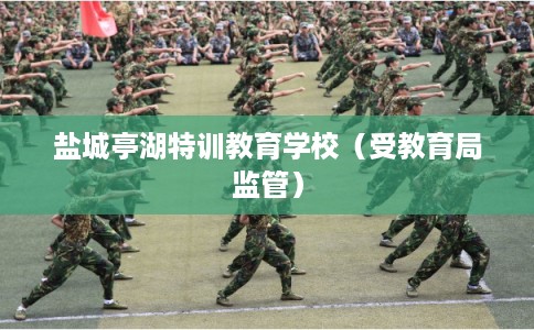 盐城亭湖特训教育学校（受教育局监管）