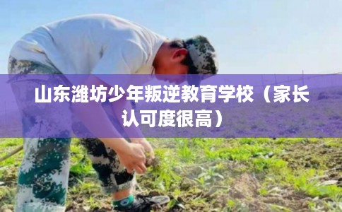 山东潍坊少年叛逆教育学校（家长认可度很高）