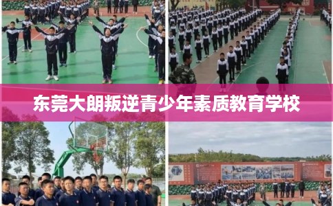 东莞大朗叛逆青少年素质教育学校