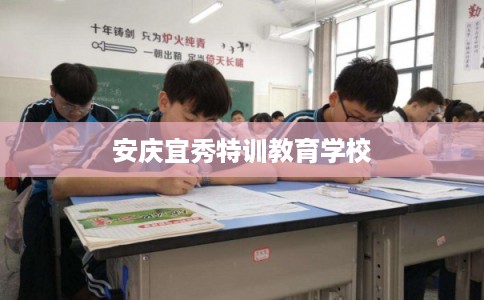 安庆宜秀特训教育学校