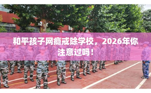 和平孩子网瘾戒除学校，2026年你注意过吗！