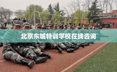北京东城特训学校在线咨询