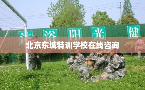 北京东城特训学校在线咨询