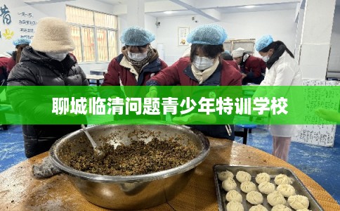 聊城临清问题青少年特训学校
