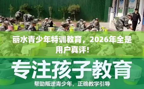 丽水青少年特训教育，2026年全是用户真评!
