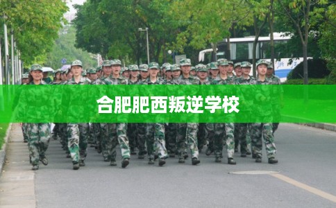 合肥肥西叛逆学校