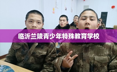 临沂兰陵青少年特殊教育学校