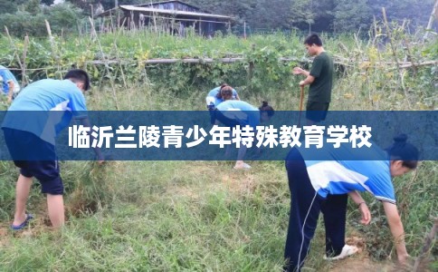 临沂兰陵青少年特殊教育学校